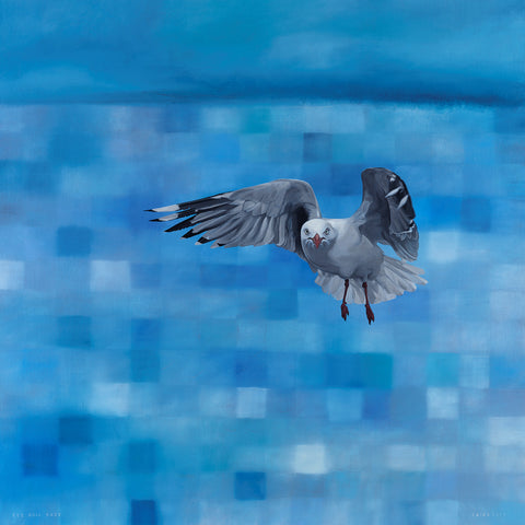 See Gull Gaze